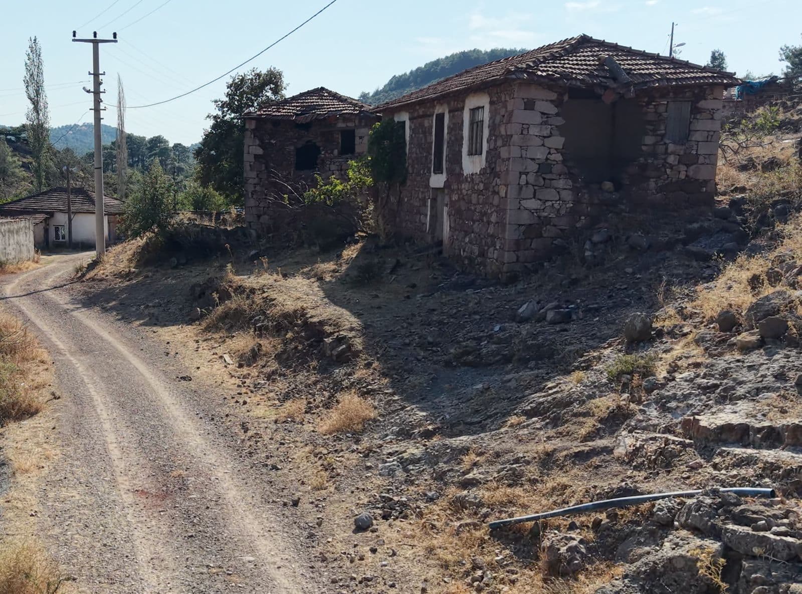 Yapılar ve Yaşam